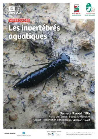 Visite guidée "Les invertébrés aquatiques"
