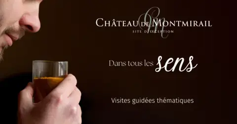 Visites guidées "Dans tous les sens" au Château de Montmirail