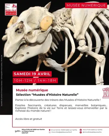 Musée numérique : Sélection " musées d'histoire naturelle"