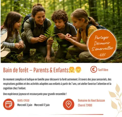 Bain de forêt  Forêt Parents Enfants