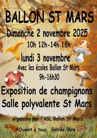 Exposition mycologique