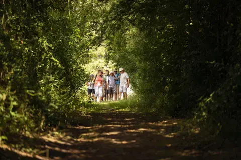 18ème Dollonnaise : rando dînatoire