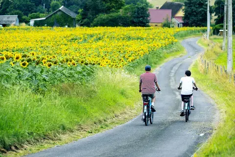 3 Courses cyclistes (U15, U17 & toutes catégories)