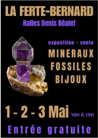 Exposition Vente Mineraux - Fossiles- Bijoux