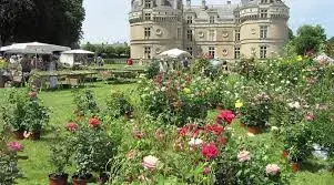 Fête des jardiniers au château du Lude