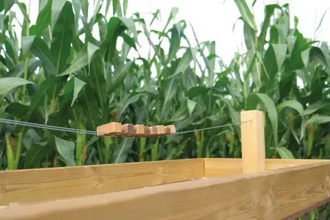 Pop Corn Labyrinthe Le Mans