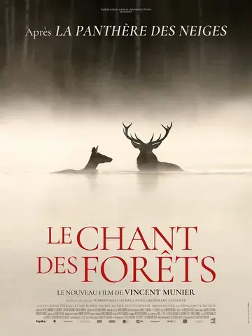 Cinéma : "Le chant des forêts"