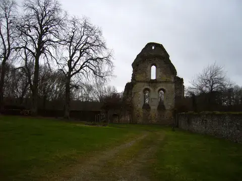 BALADE GREETERS : EN FORÊT ET À L'ABBAYE DE PERSEIGNE
