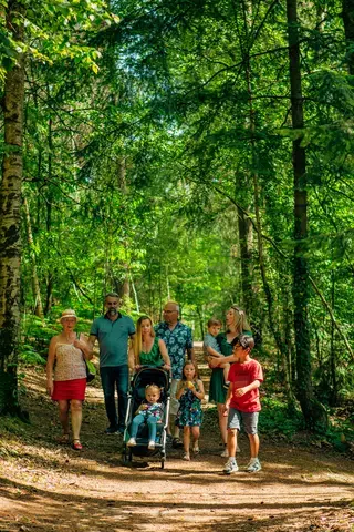 Fête de la forêt et de la randonnée