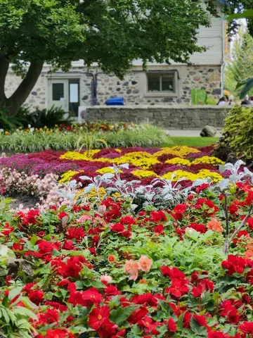 Plantation d’un massif fleuri