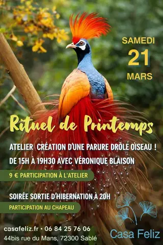 Soirée Rituel de printemps - Réveille l'oiseau qui est en toi
