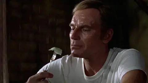 Les Mycéliades - Soleil Vert et rencontre Linguisticae