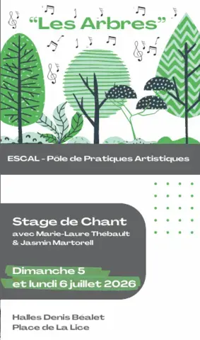 Stage de chant