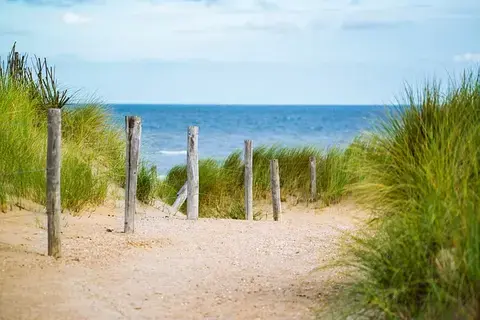 Train de la plage