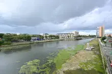 Les écourues 2025 ont commencé en Sarthe !