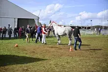 Inauguration de l'espace agricole de la Foire du Mans