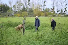 Le Département contribue à la reconstruction du bocage sarthois Le Département contribue à la reconstruction du bocage sarthois