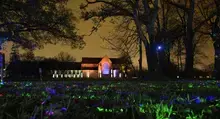 Voyage lumineux et sonore à l’Abbaye Royale de l’Épau !