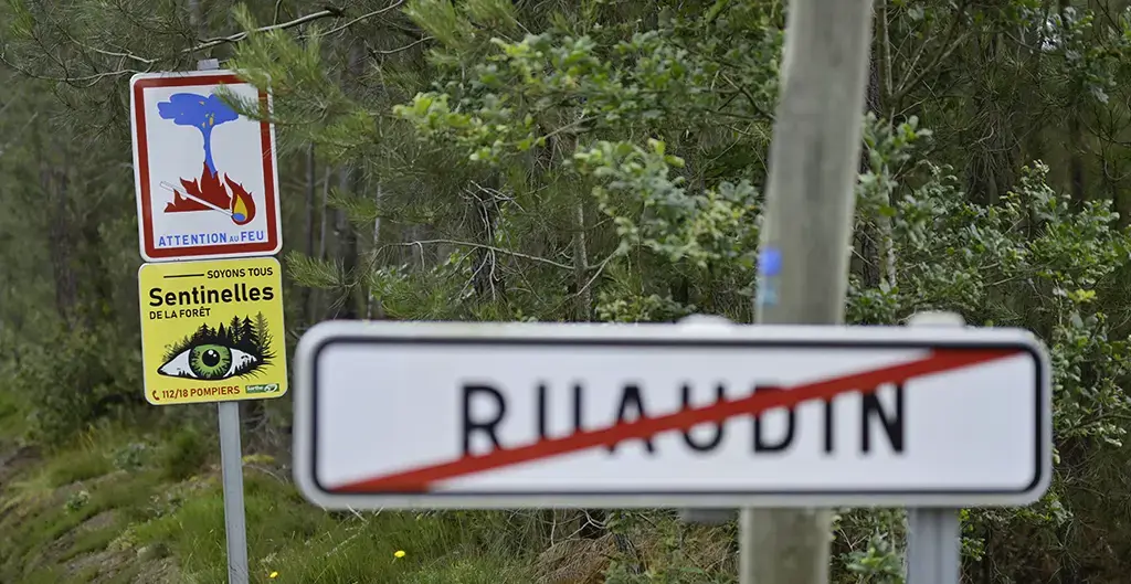 Sentinelles de la forêt à Ruaudin