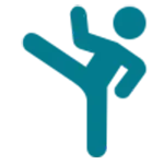 icon Taekwondo