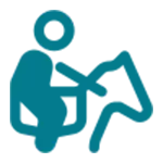 icon Equitation