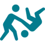 icon Judo