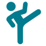 icon Karaté