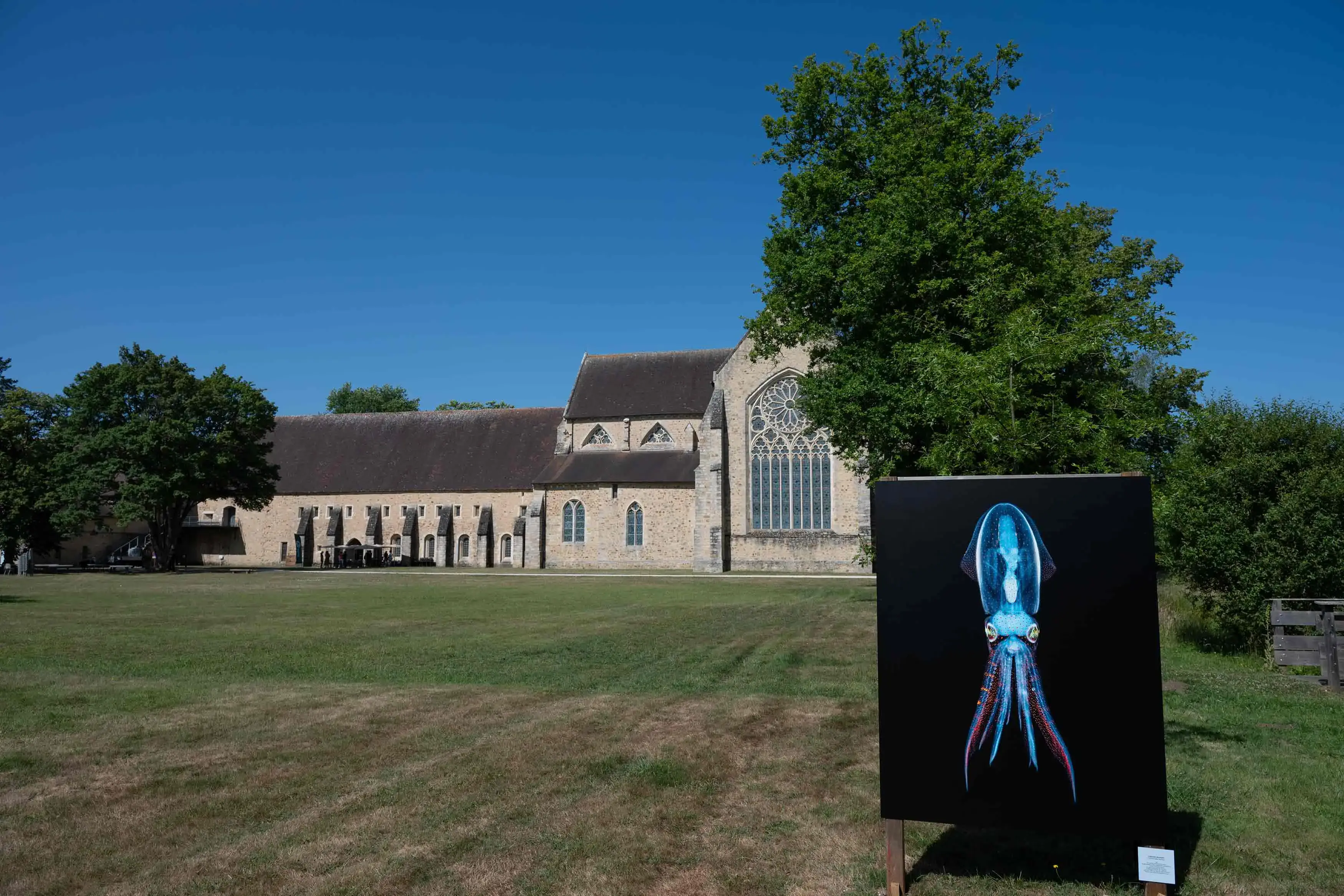 saison photographique de l'Épau