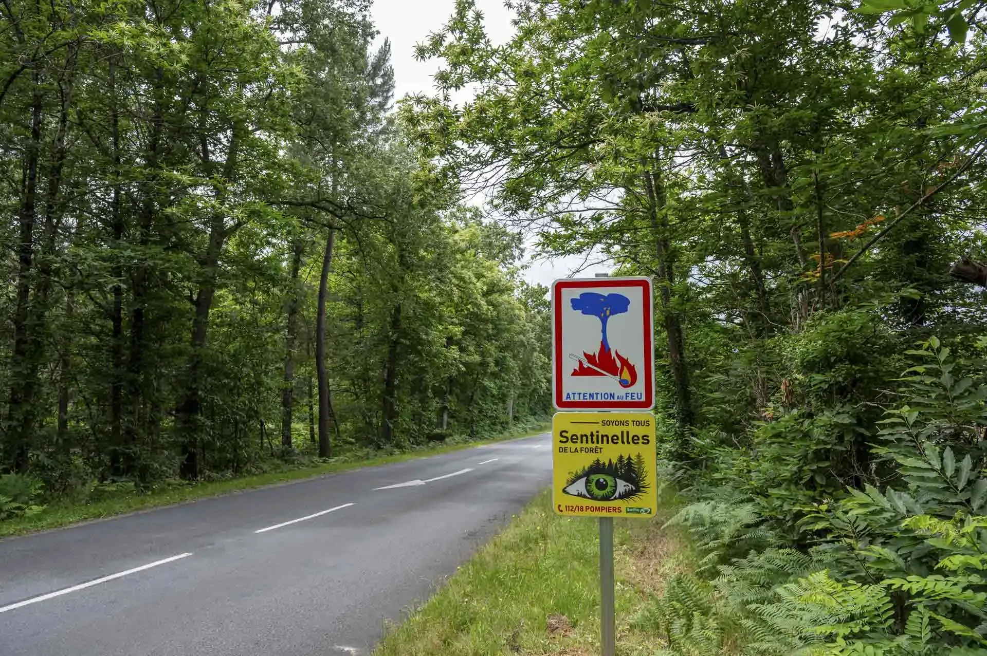Sentinelles de la forêt