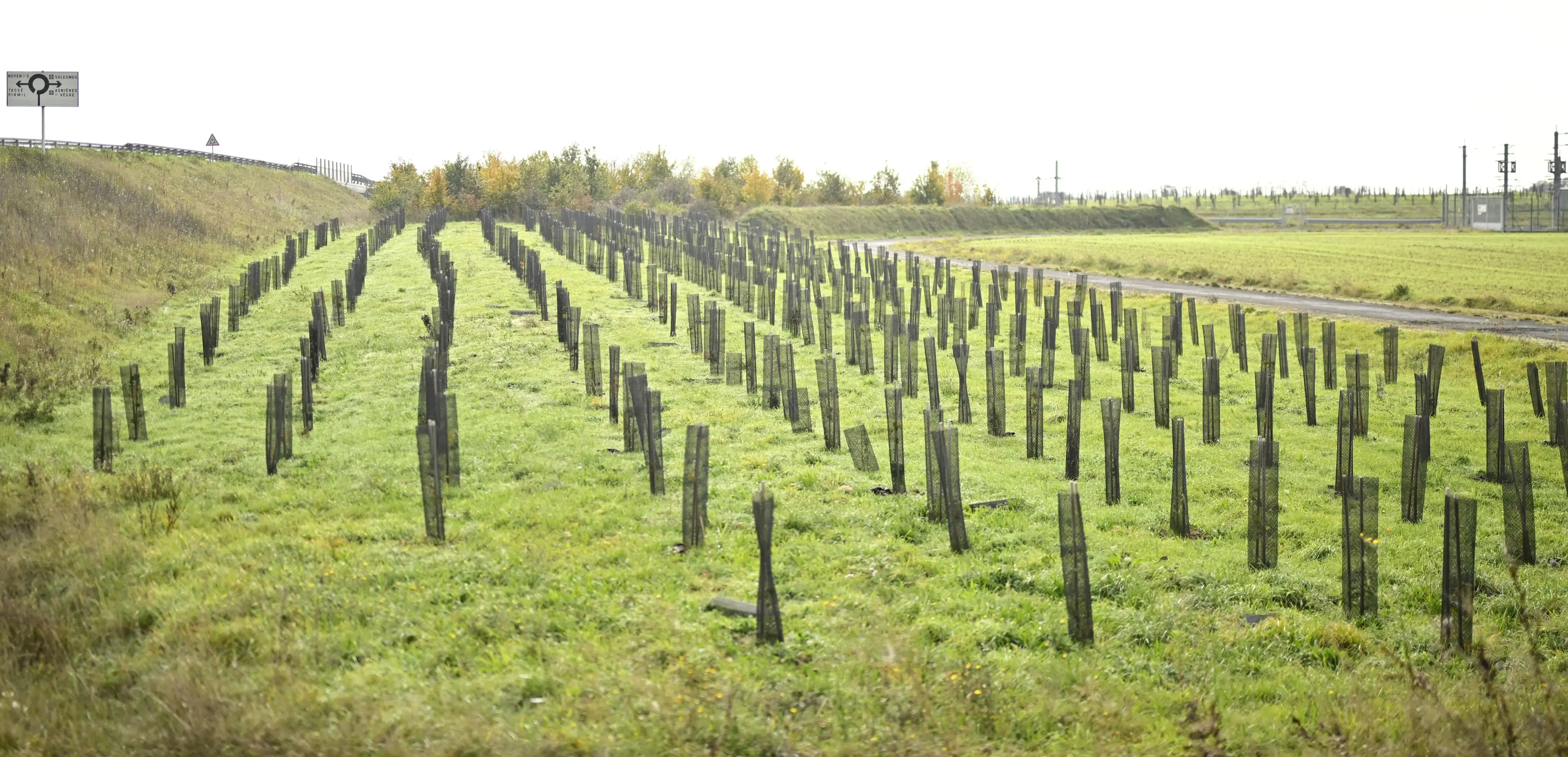 Le Département contribue à la reconstruction du bocage sarthois