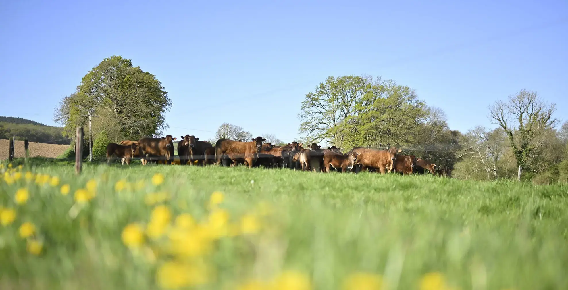 Le Département valorise les richesses de l'agriculture sarthoise