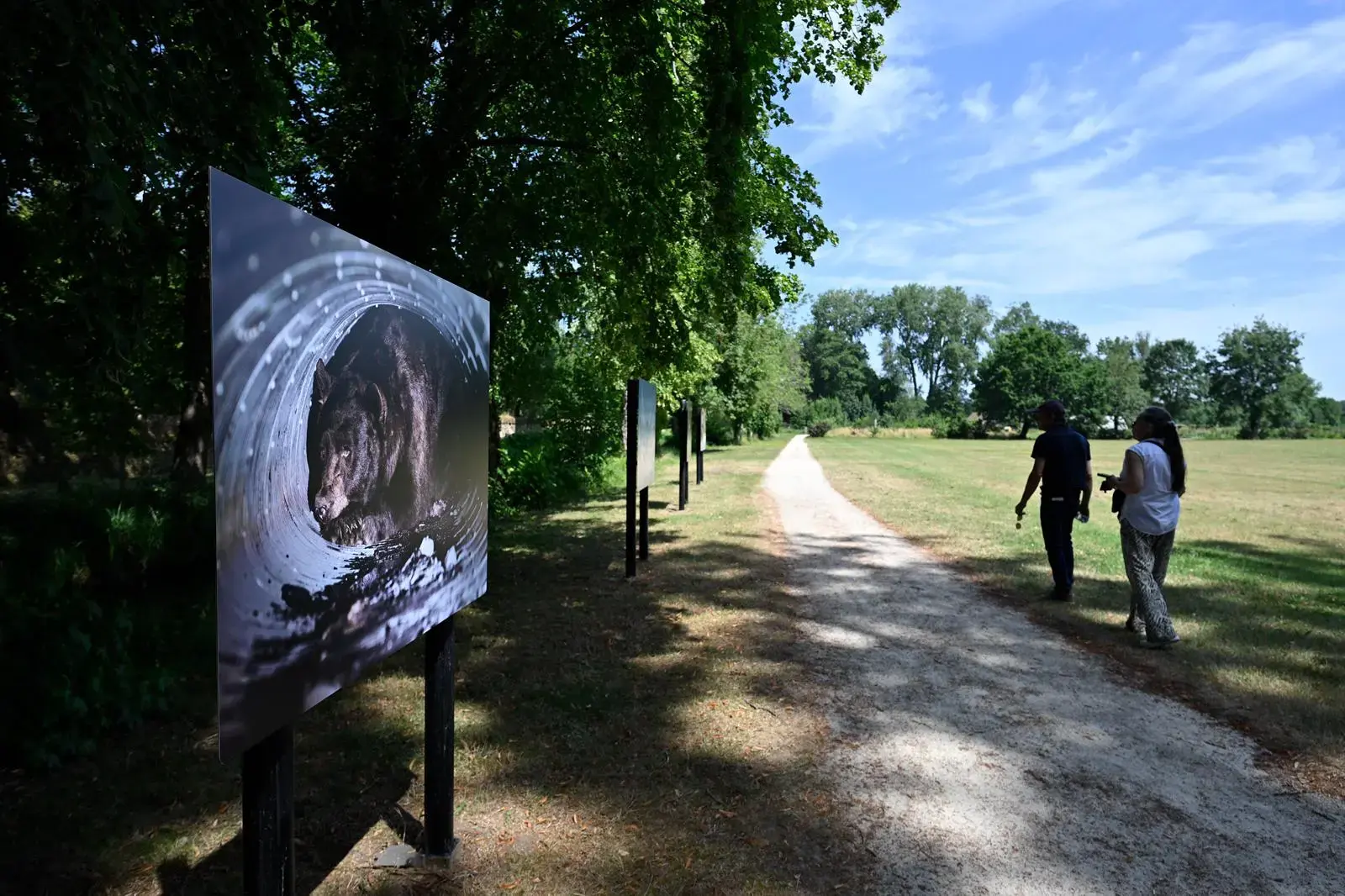 Un parcours photographique à ciel ouvert débute à l'Abbaye Royale de l'Épau